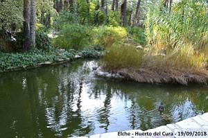 19 ELCHE HUERTO DEL CURA (65)